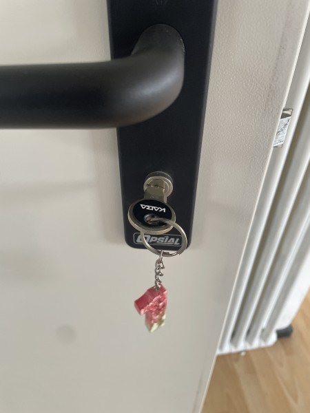 Porte in metallo tagliafuoco